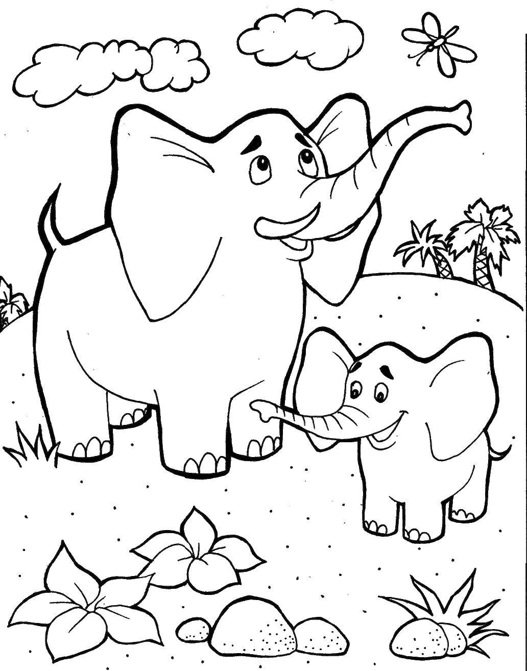 Раскраска Животные слон, слоненок (слон, слоненок)