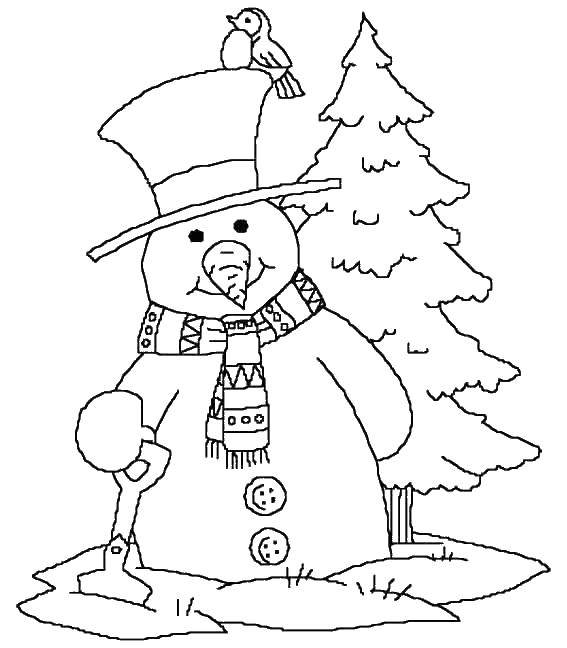 Бесплатные раскраски для малышей: воробей, снеговик, ель, лопата (снеговик, ель, лопата)