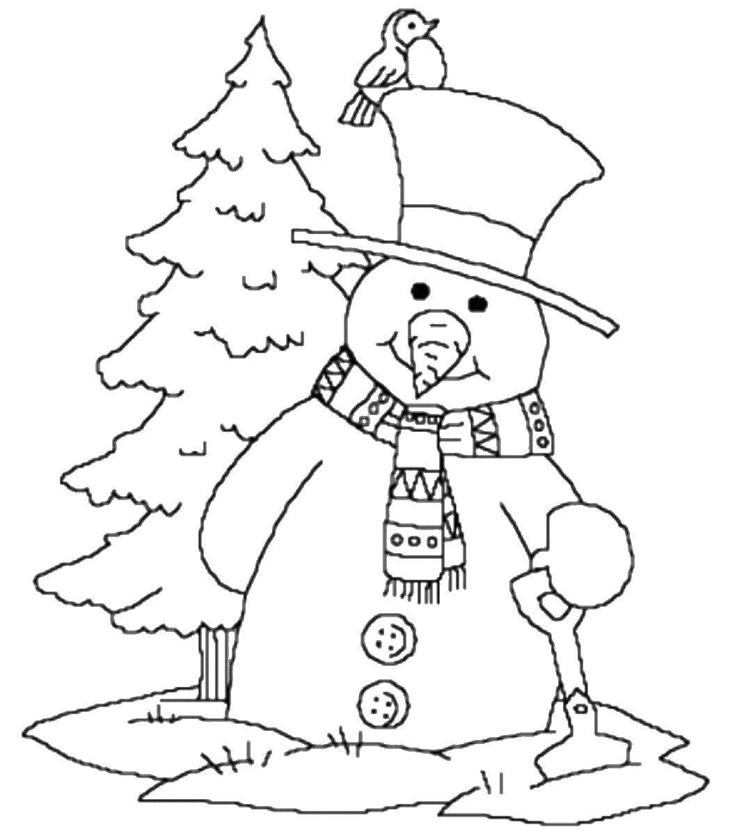 Раскраски зима: снеговик, птичка и другие зимние изображения (зима, снеговик, птичка)