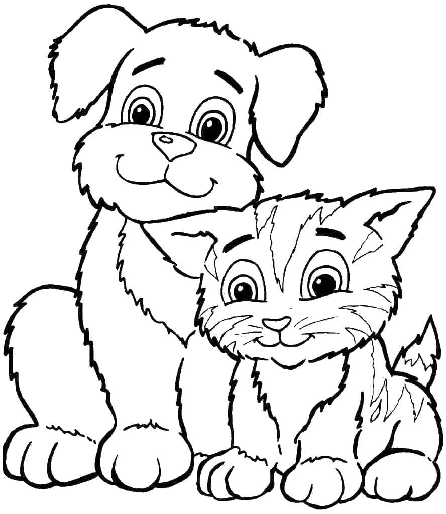 Раскраски животных для детей - бесплатно скачать и распечатать (кот)