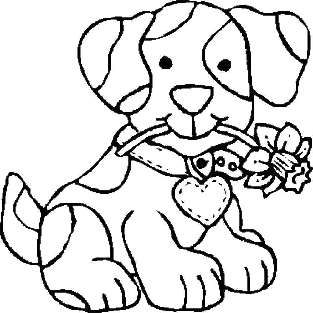 Раскраски домашних животных: собака, цветок, ошейник (ошейник)