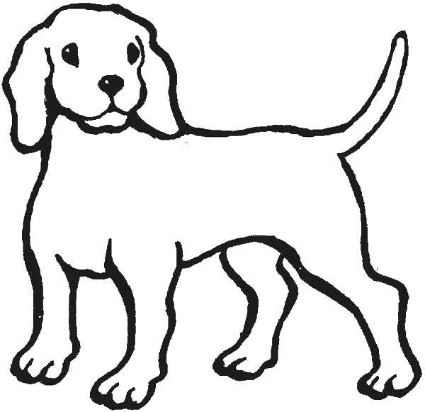 Раскраска с контурами собаки (собаки, щенки, песики)