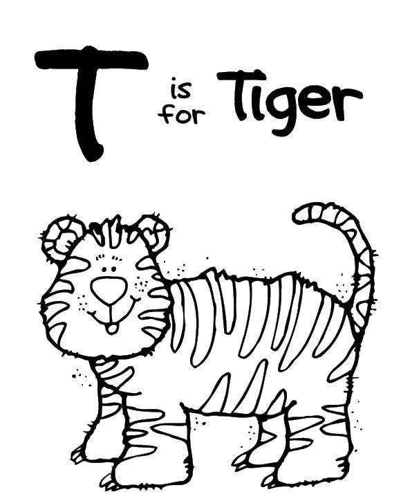 Раскраски с дикими животными: тигр, лев, слон и другие. Надписи для раскрашивания бесплатно онлайн (тигр, слон, надписи)