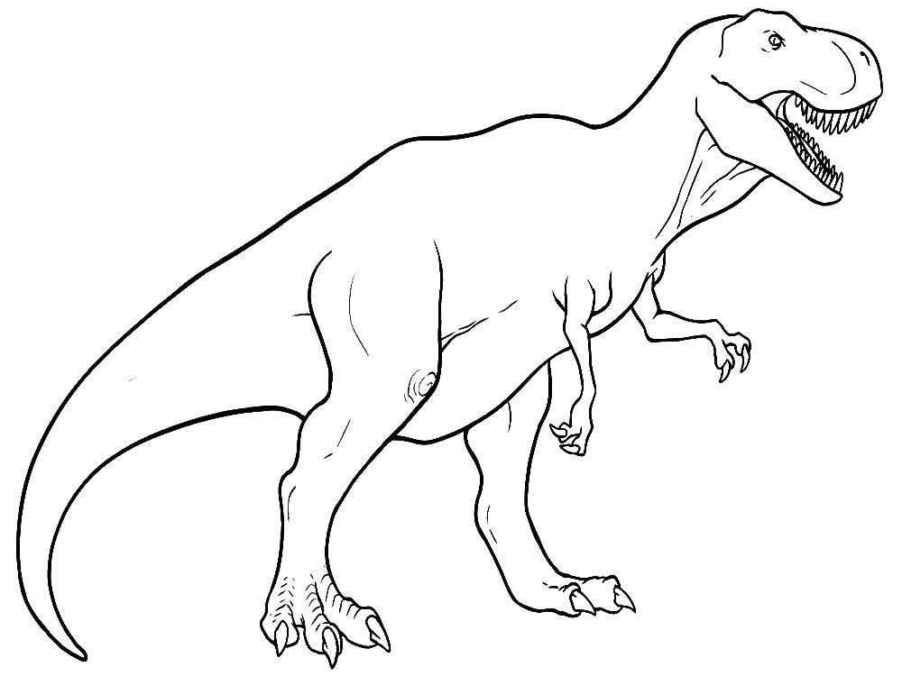 Раскраска динозавр Рекс для детей (динозавр, Рекс)