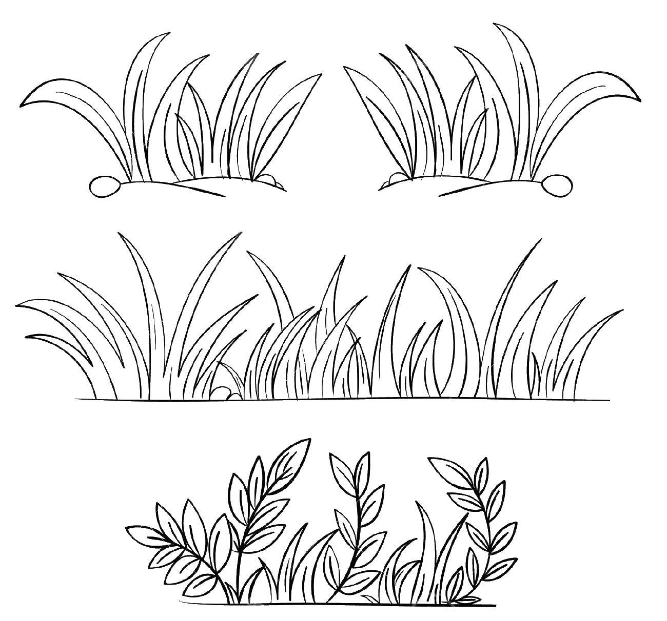 Раскраска с контурами травы для вырезания (трава, листья)