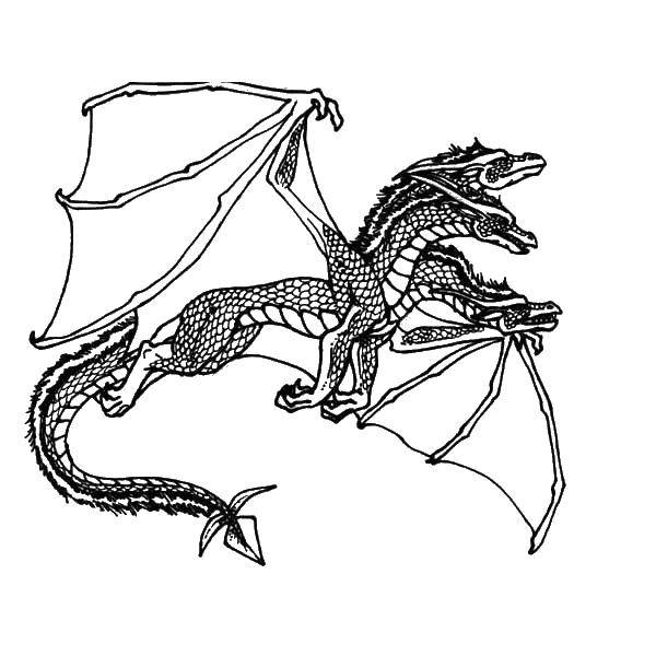 Раскраска дракона с крыльями и фантастическими украшениями (дракон, крылья)
