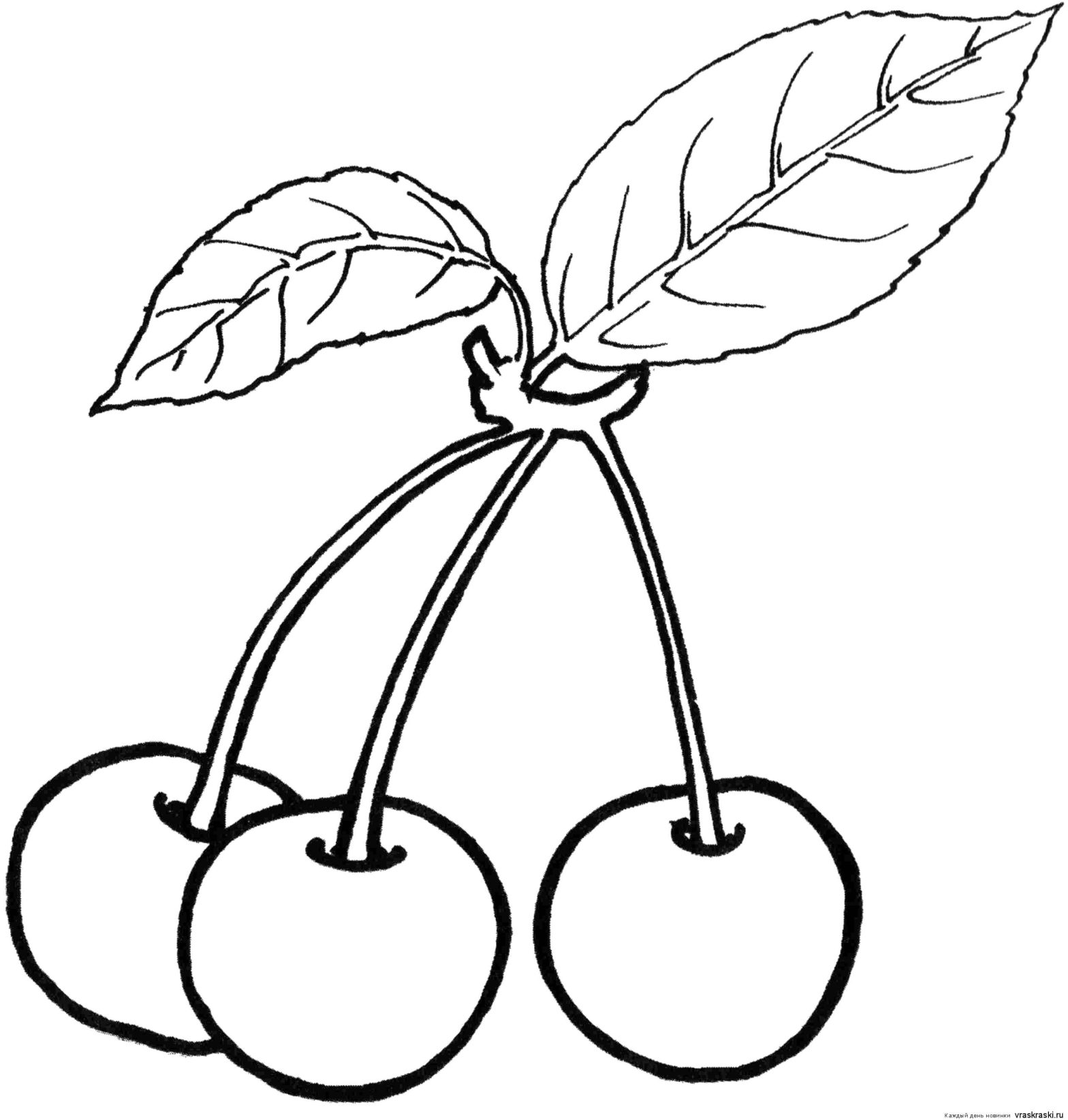 Раскраски Ягоды и вишня для малышей - бесплатно скачать или распечатать онлайн (ягоды, вишня)