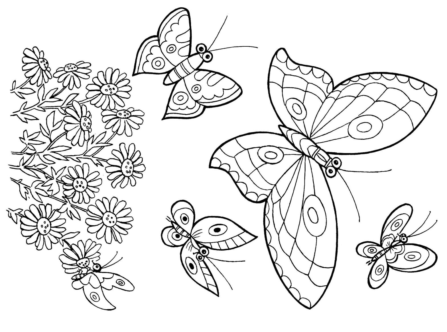 Раскраска с ромашками и бабочками (цветочки)