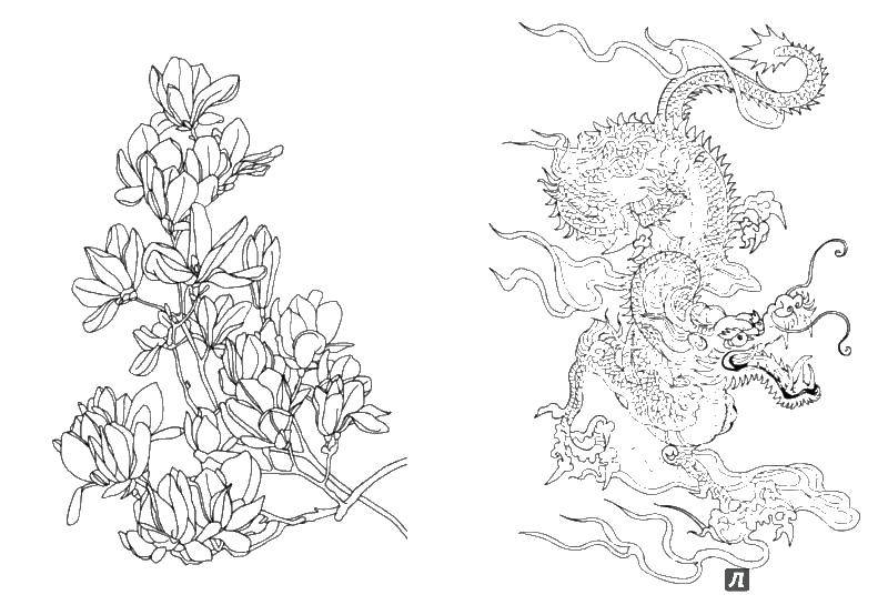 Раскраска антистресс дракон и цветы (антистресс, драконы, цветы)