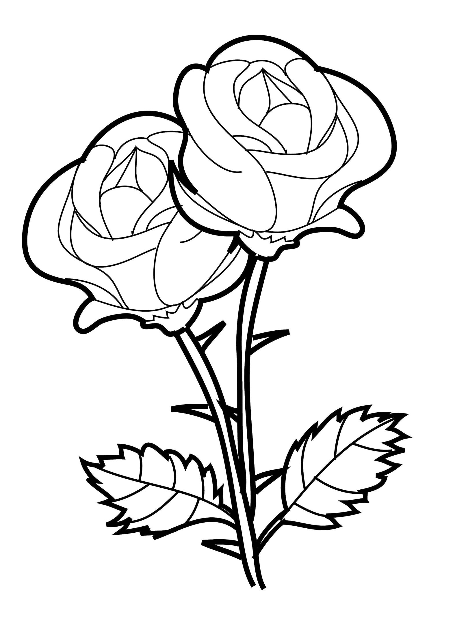 Раскраски цветов: букеты из роз и шиповидных роз (букеты, розы)
