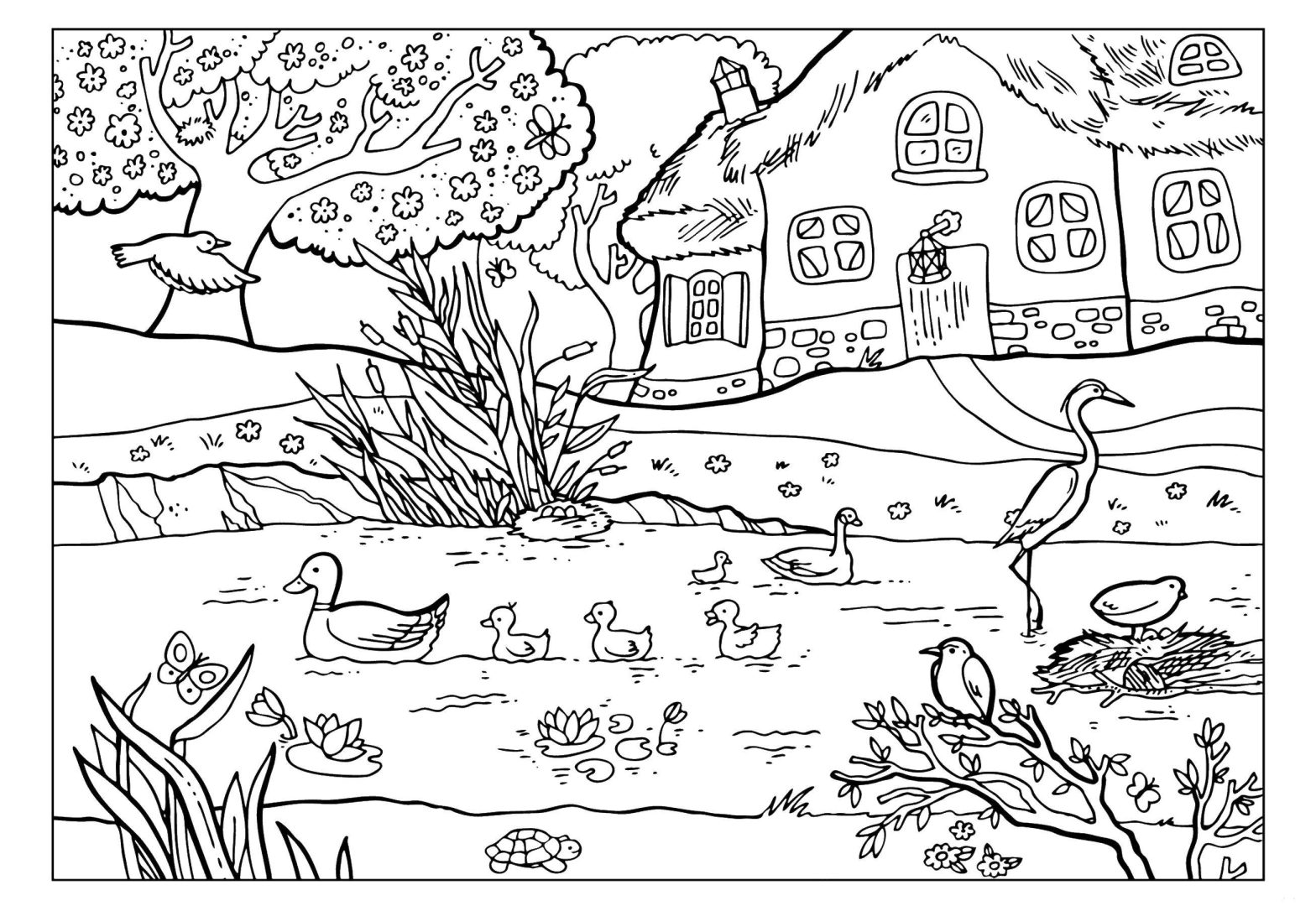 Раскраска животных: утка и пруд для детей всех возрастов (утка, пруд, животные)