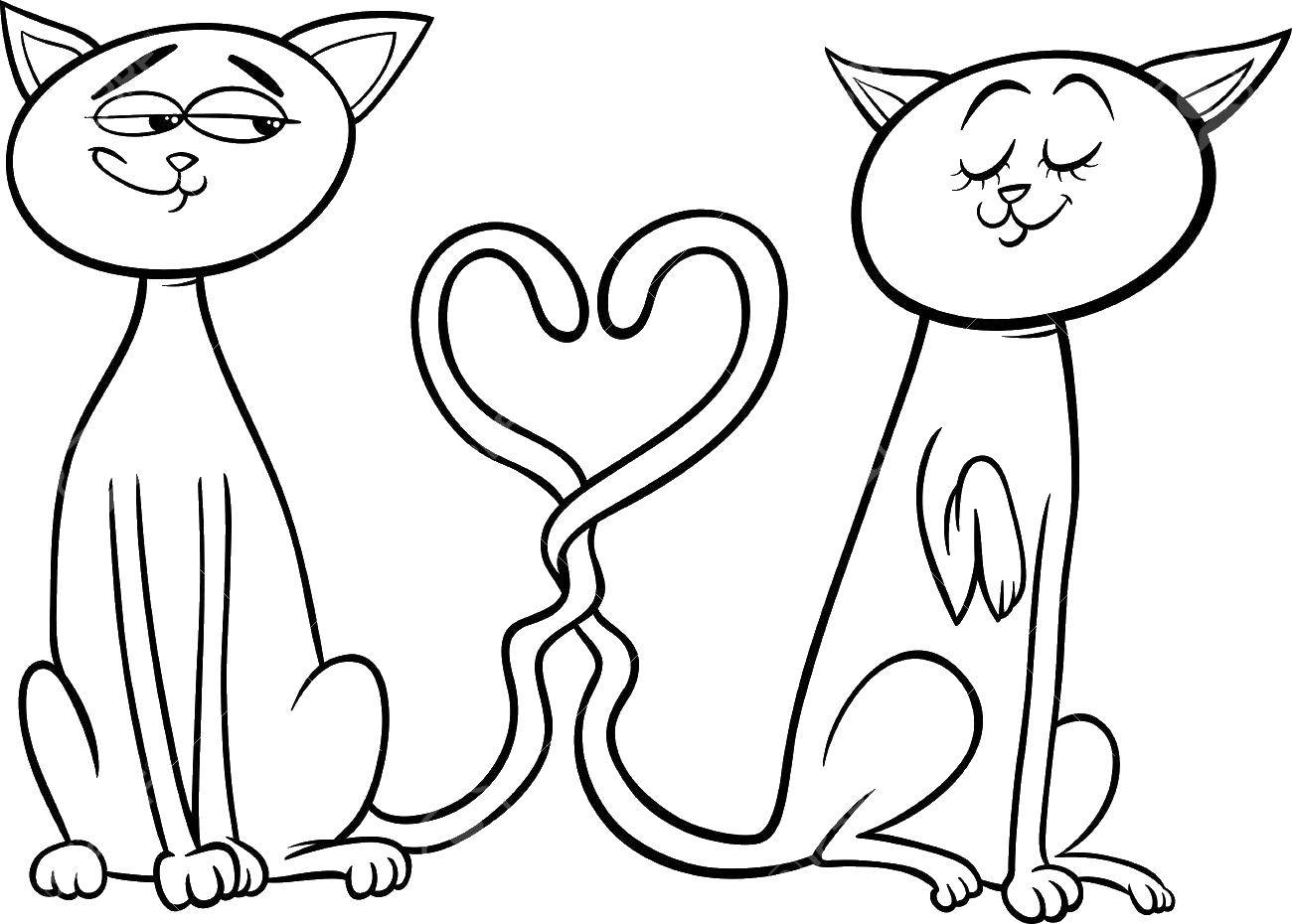 Раскраски кошек на День святого Валентина (кошки)