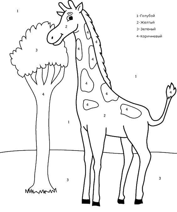 Раскраски по номерам для детей - жираф, дерево, цифры (цифры)