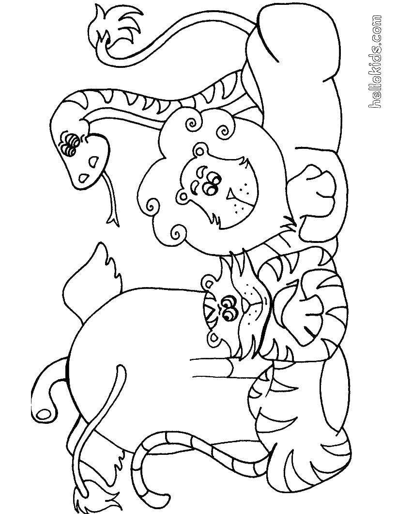 Раскраска дикого животного для детей - тигр, слон, лев, змея (дикие, животные, змея)