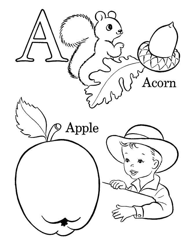 Обучающие бесплатные раскраски для детей: развивайте логическое мышление и другие навыки (развитие)