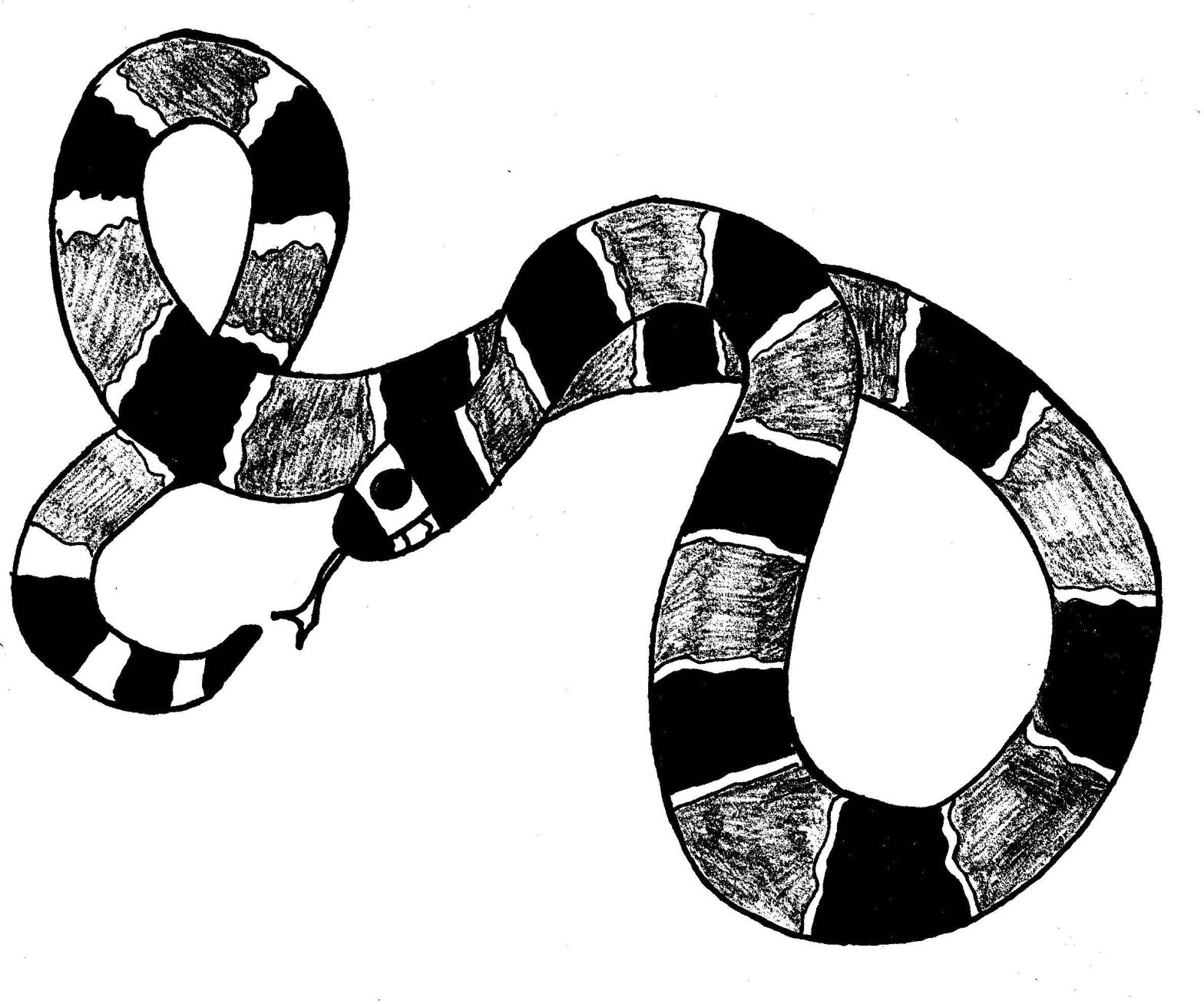 Раскраска змеи для детей (змеи)