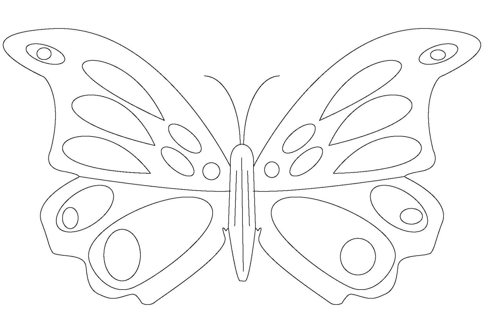 Раскраски Бабочки для девочек (бабочки)