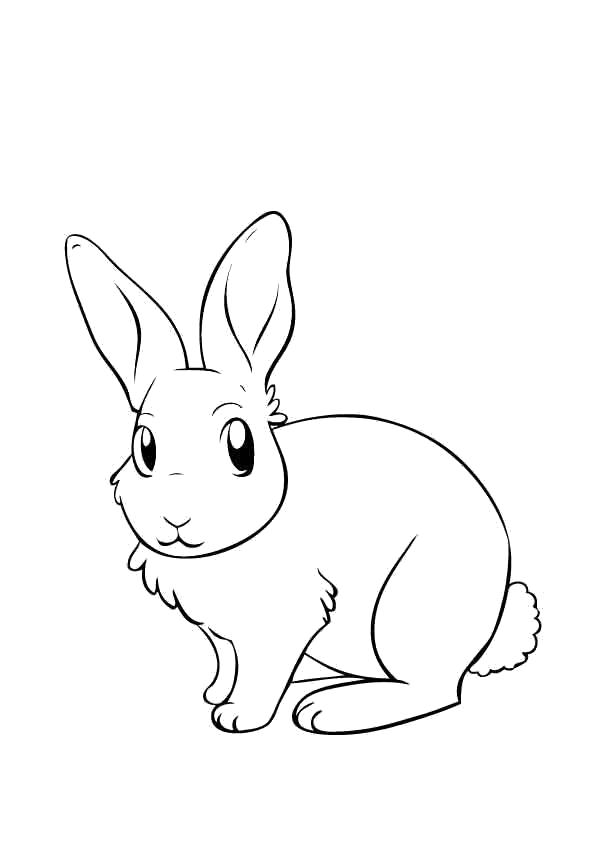 Раскраска домашних животных и зайца для детей (заяц)