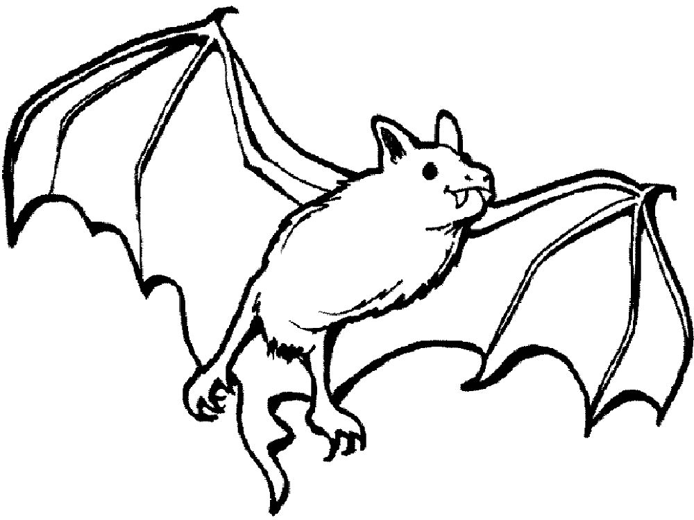 Раскраски страшных летучих мышей для девочек и мальчиков