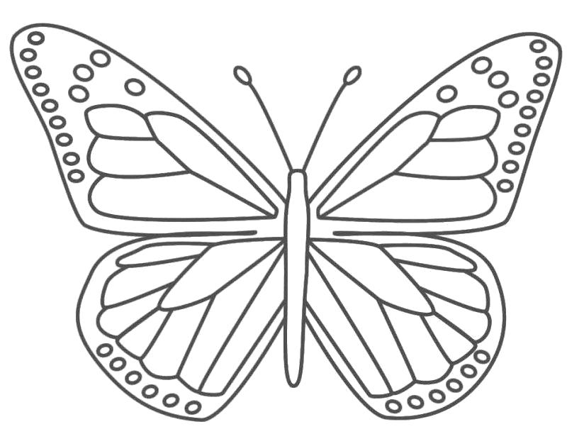 Бабочки для раскрашивания