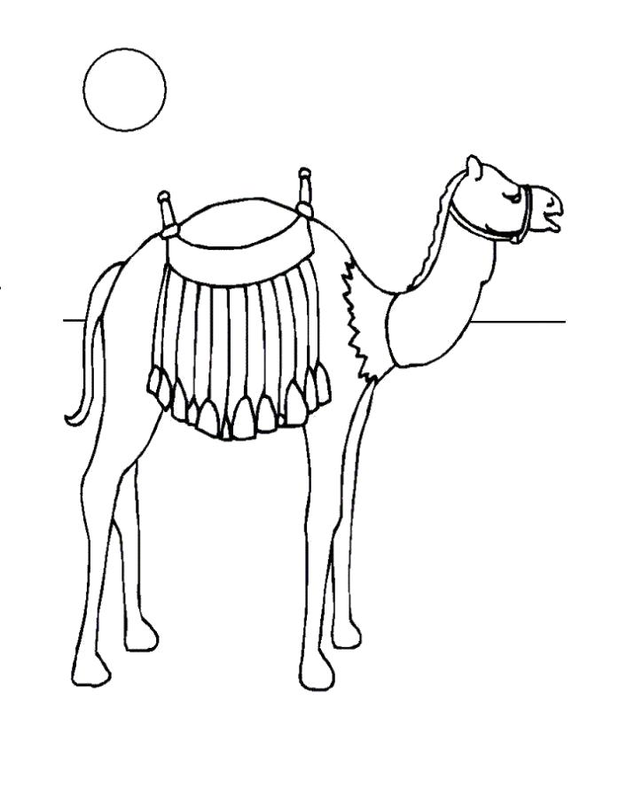 Раскраска с Верблюдом на природе (Верблюд)