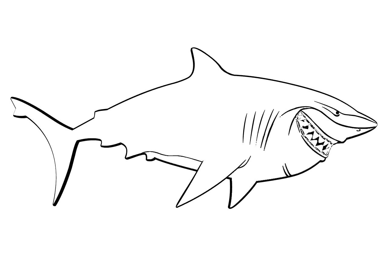 Раскраска Морские животные Акула (акула)