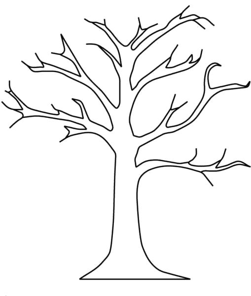 Растения дерево раскраска (дерево)