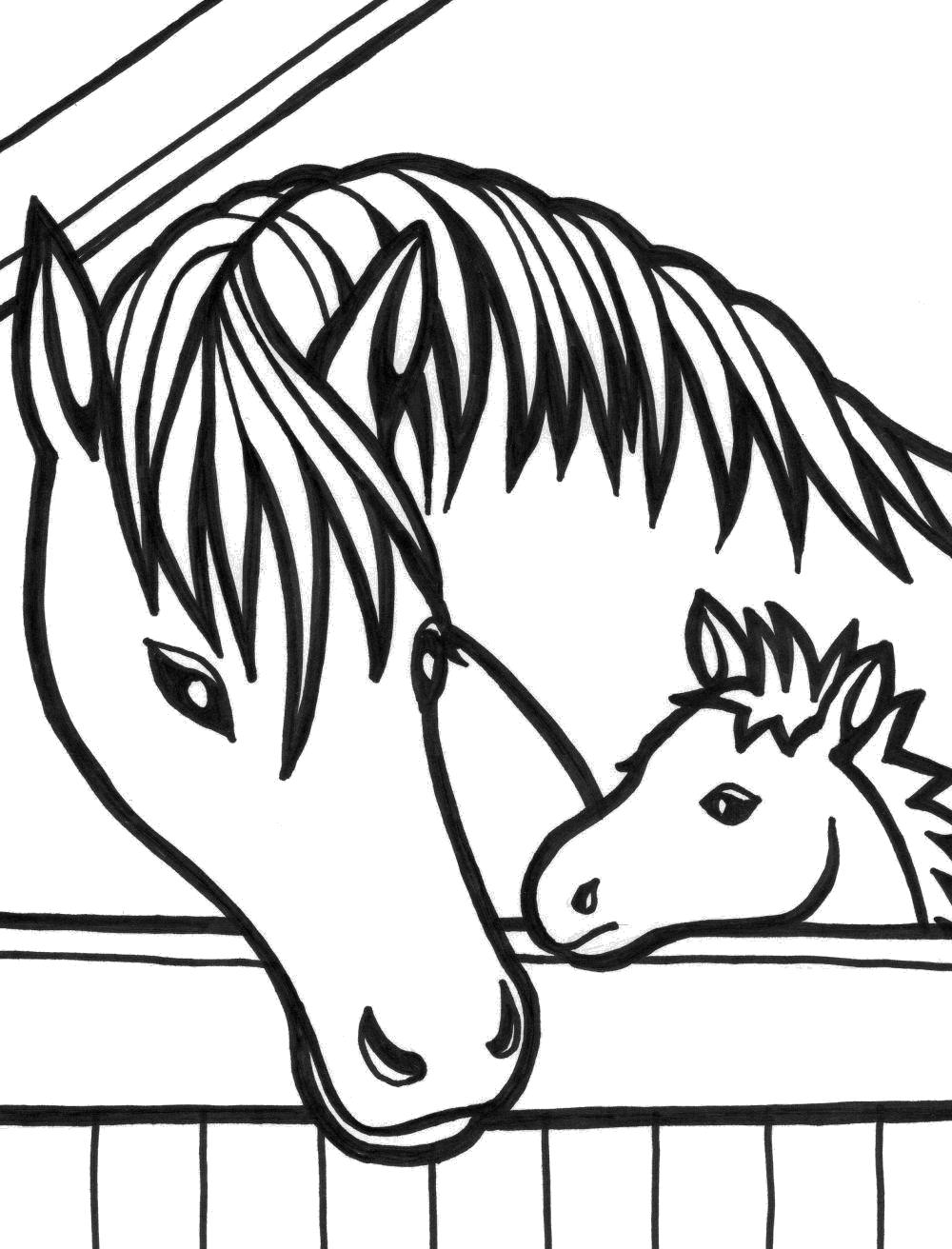 Раскраска Лошадь для детей (Лошадь)
