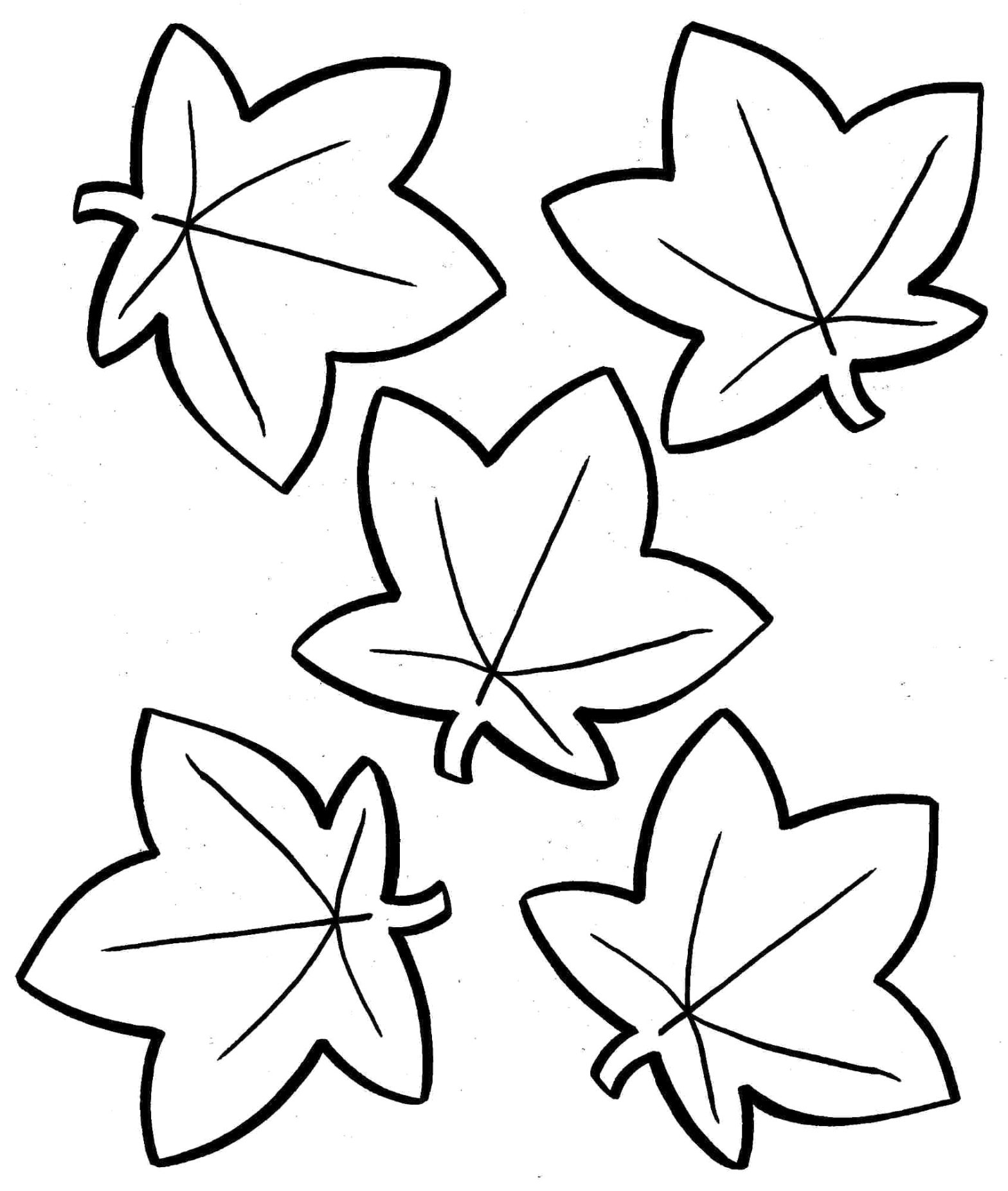 Раскраска с контурами листьев для вырезания (листья, контуры)