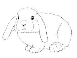 Раскраски Трафарет зайца для детей (трафарет, заяц)