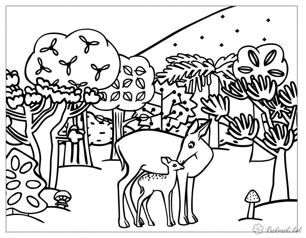 Раскраски Лесные животные - для развивающих занятий с детьми