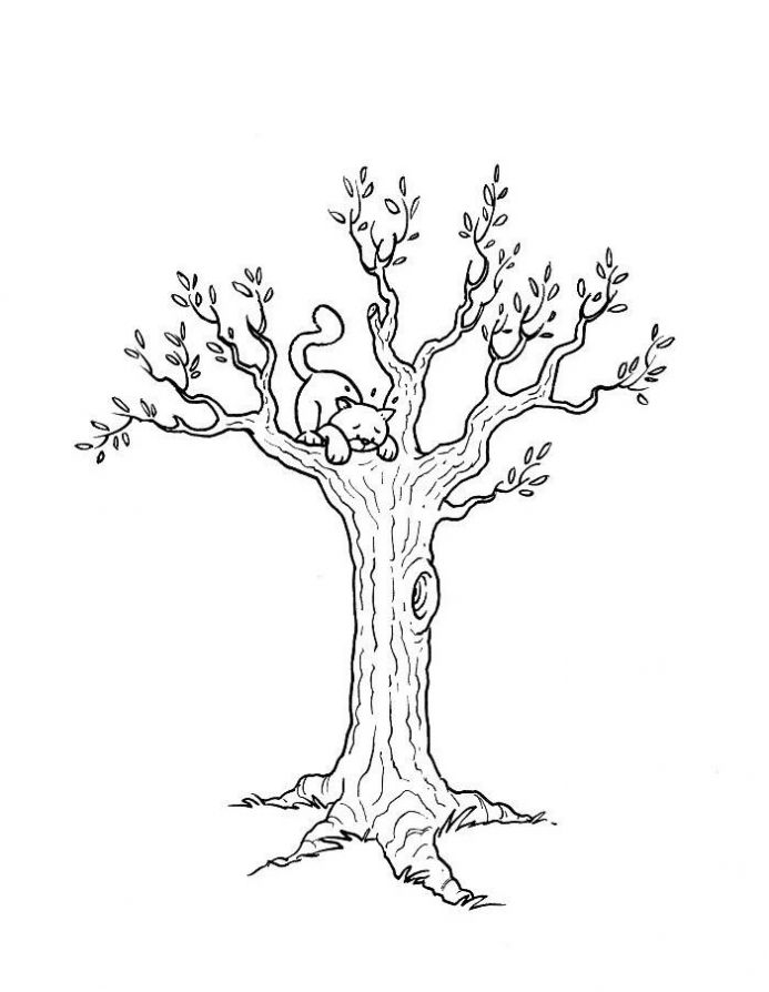 Раскраска дерево весной и кошка на дереве (дерево, кошка, развивающие)