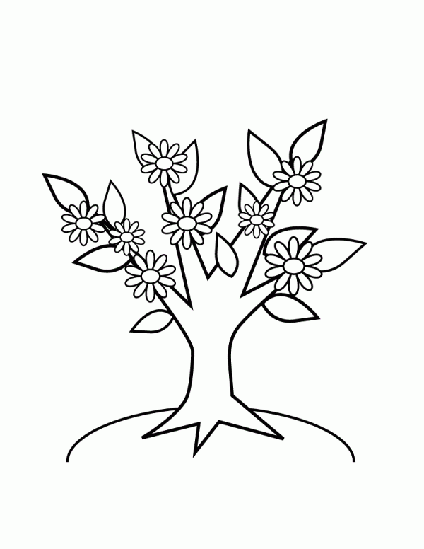 Раскраска дерева с цветами для детей. Скачайте онлайн бесплатно. (деревья, цветы)