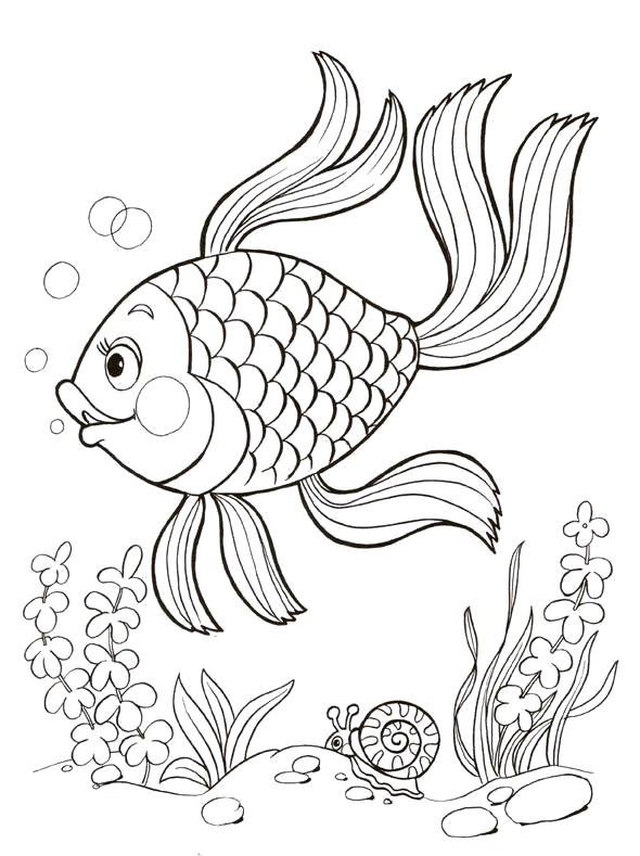 Раскраски Морские животные Рыбы для детей (рыбы)
