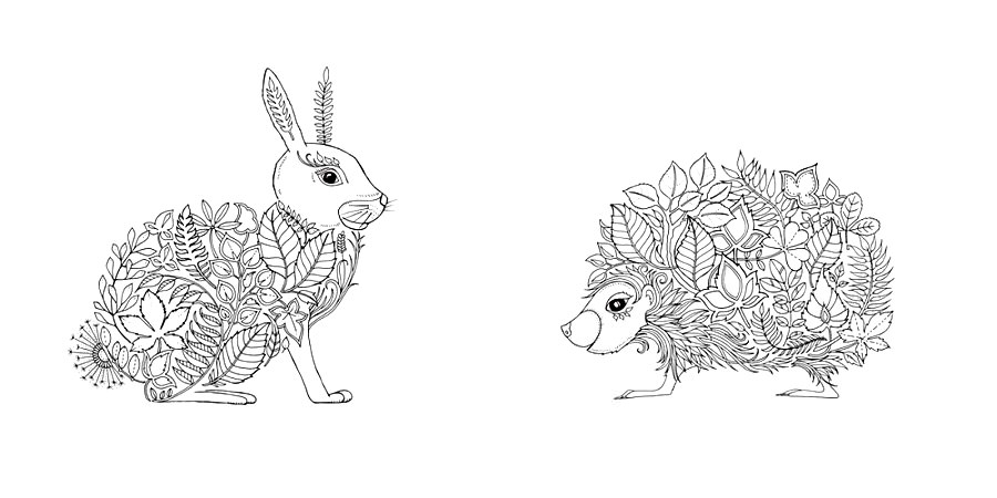 Раскраска с ежиком и зайцем для детей - скачать онлайн (ежик, заяц)