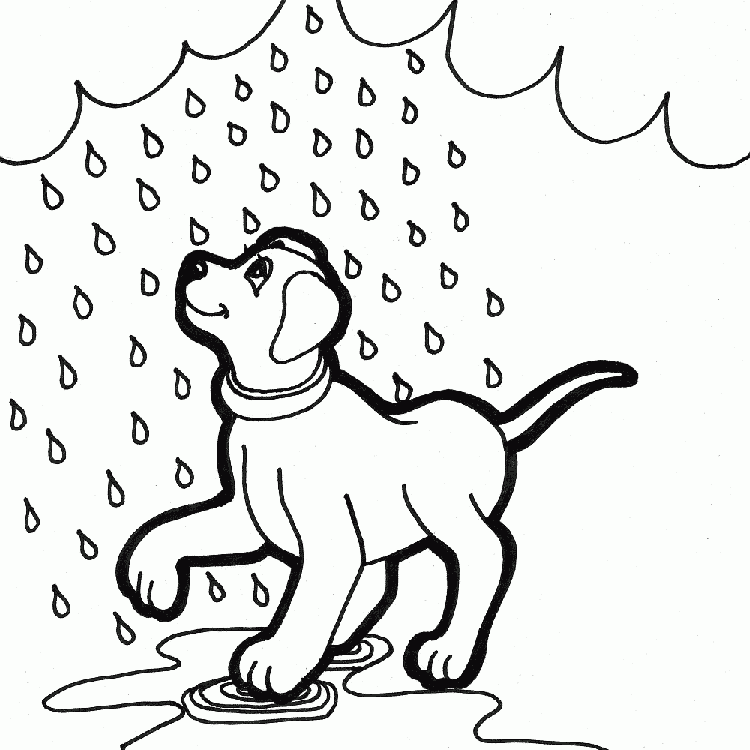Раскраска с изображением собаки и дождя (дождь)