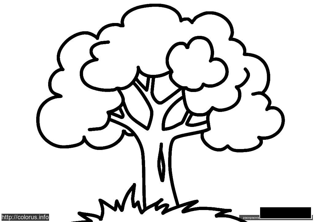 Раскраска деревьев для детей (деревья)