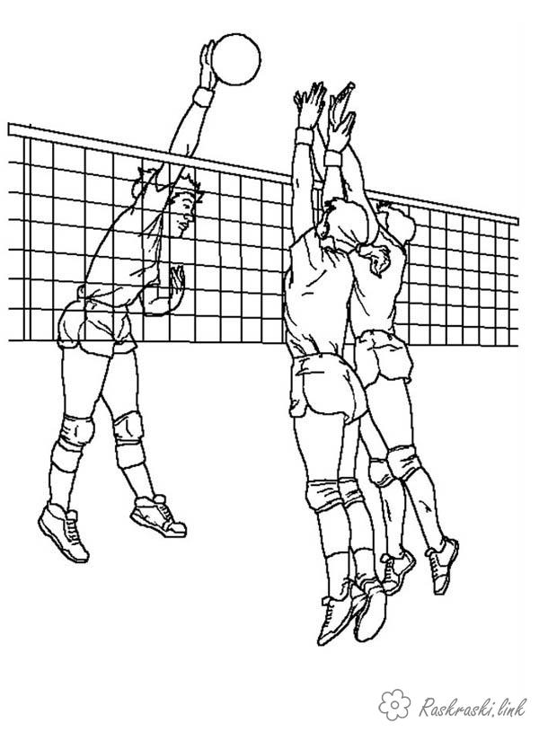 Раскраска Волейбол - рисунок мяча, сетки, игроков и других элементов этой увлекательной игры (волейбол)