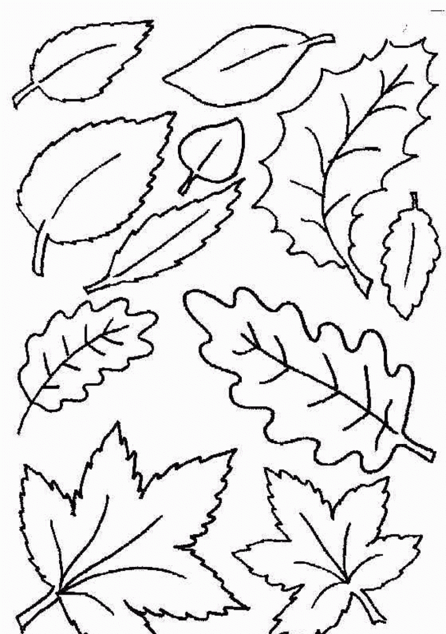 Раскраска листопад с листьями (листопад)