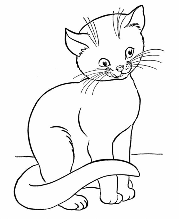 Раскраски Кошки - бесплатная коллекция иллюстраций для раскрашивания (кошки, коллекция)