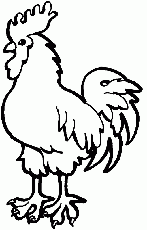 Раскраска Курица и петух для детей (Курица, петух)
