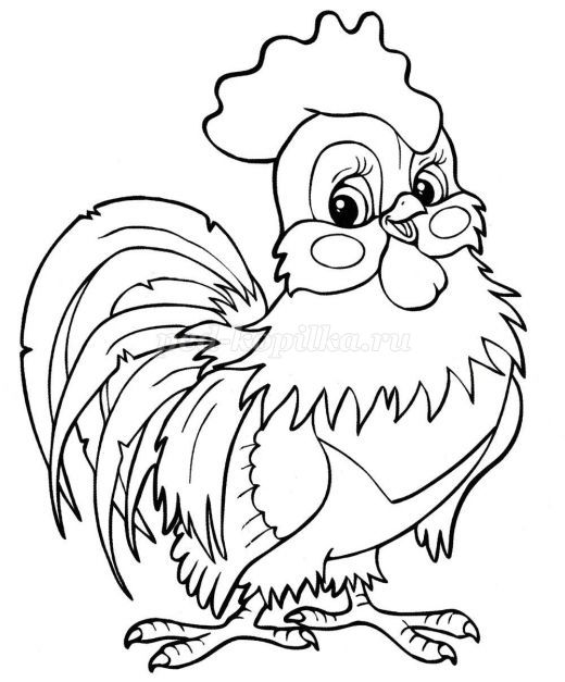 Раскраска Курица и петух для детей разных возрастов (курица, петух)