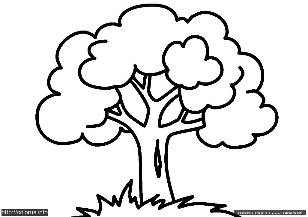 Раскраска Контуры деревьев дерево для детей (дерево, контуры)