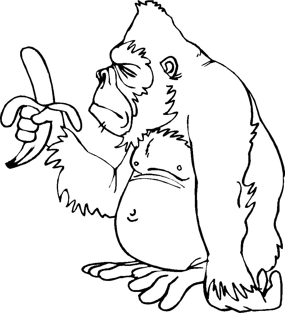 Раскраска Дикие животные - горилла (горилла, животные)