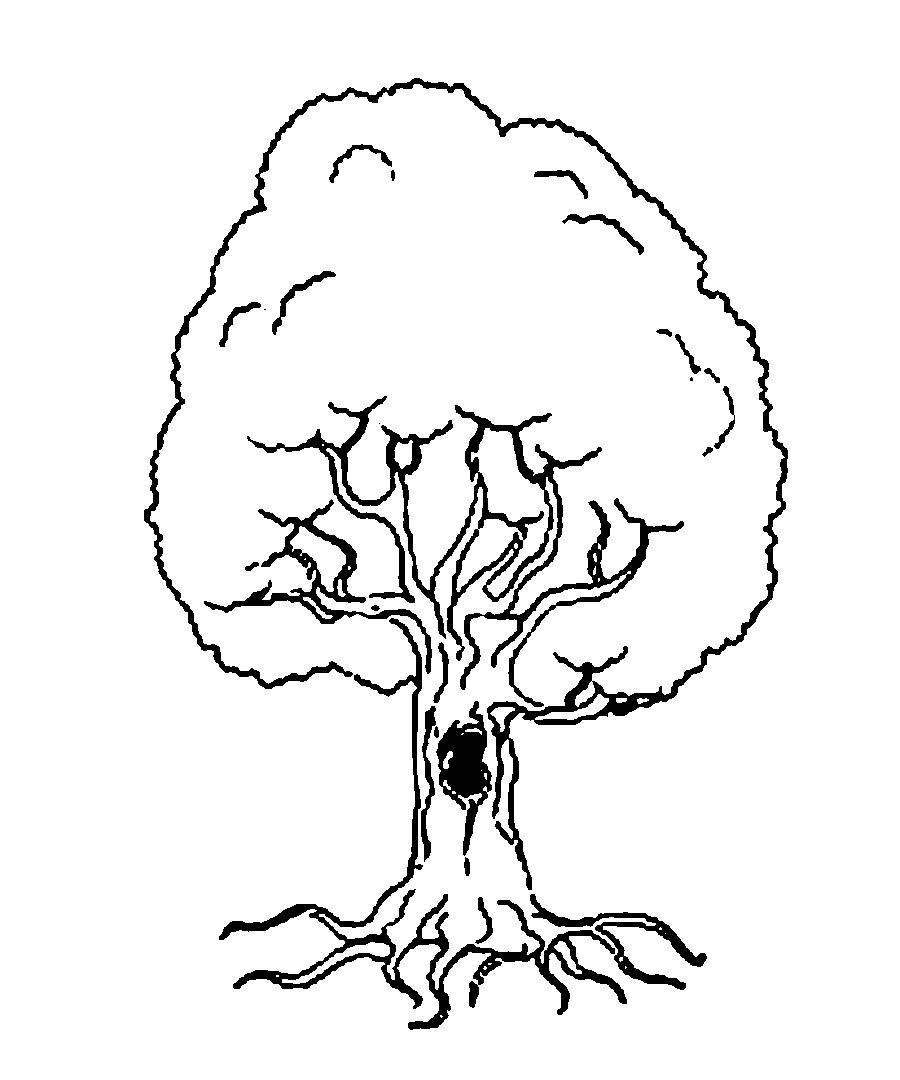Раскраски Деревья для вырезания из бумаги - изображения деревьев раскраски и (деревья)