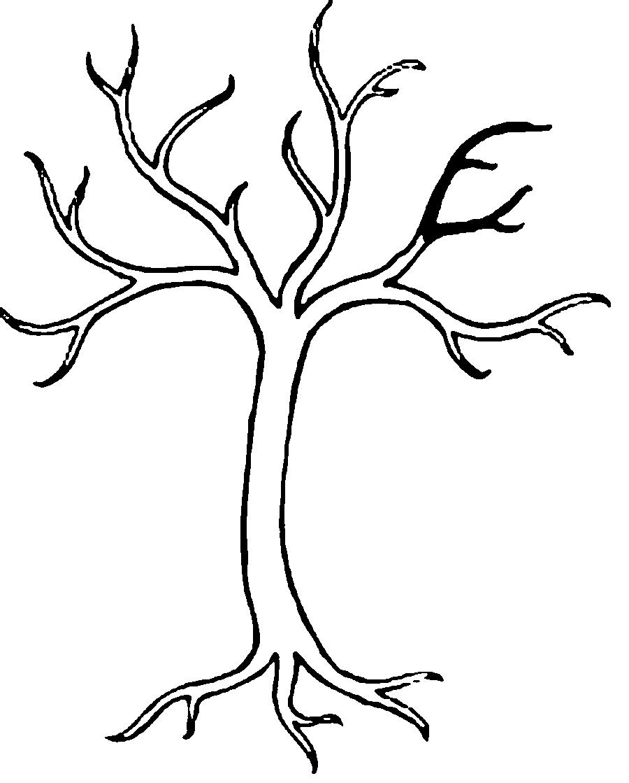 Раскраски Деревья без листьев - иллюстрация (деревья)