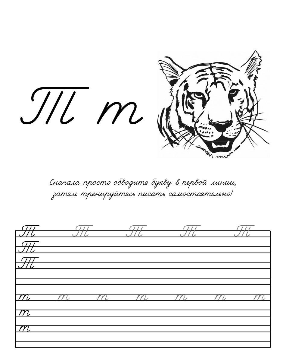 Раскраска буква Т прописью (буква, тигр, тюльпаны)