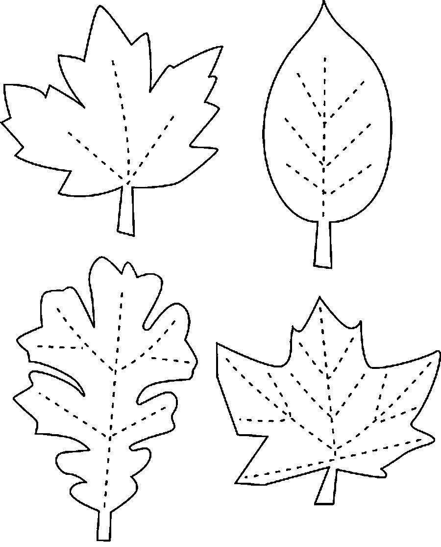 Раскраски листьев деревьев для детей (раскрашивание, изображения)