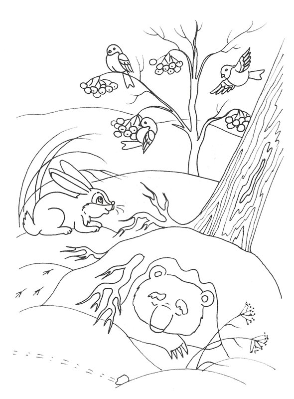 Раскраска с изображением медведя, спящего в берлоге, зайца и птиц на рябине (Мишка, птицы)