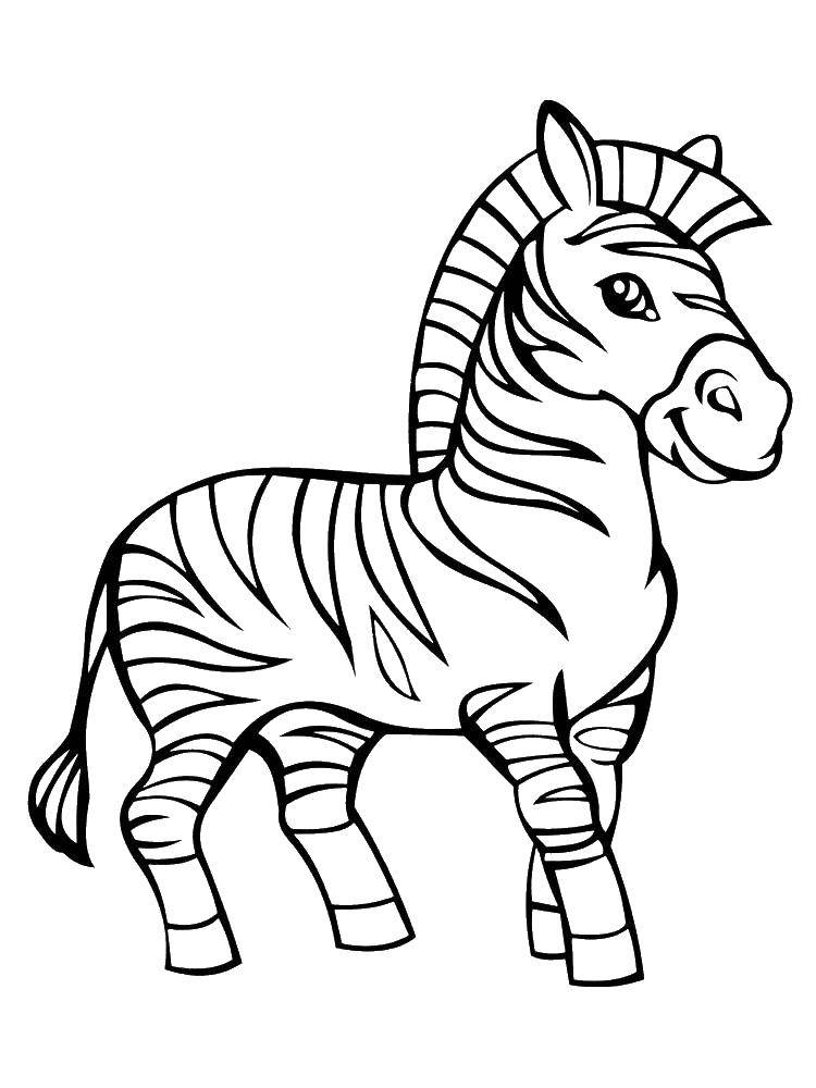 Раскраска зебры для детей (зебры)